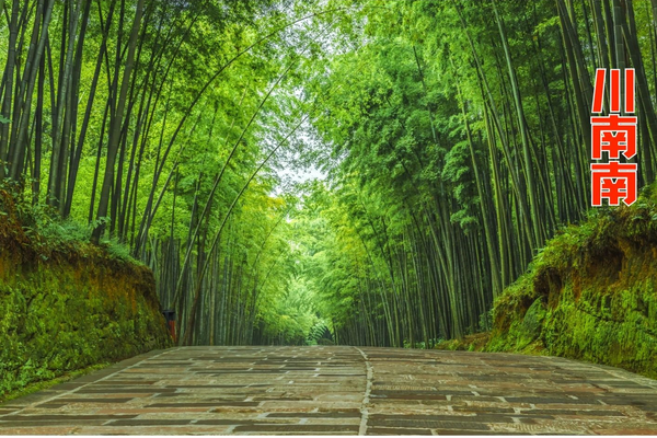 川南南攀枝花.滇西北秘境15天